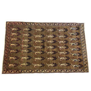 Shiraz 373217067
