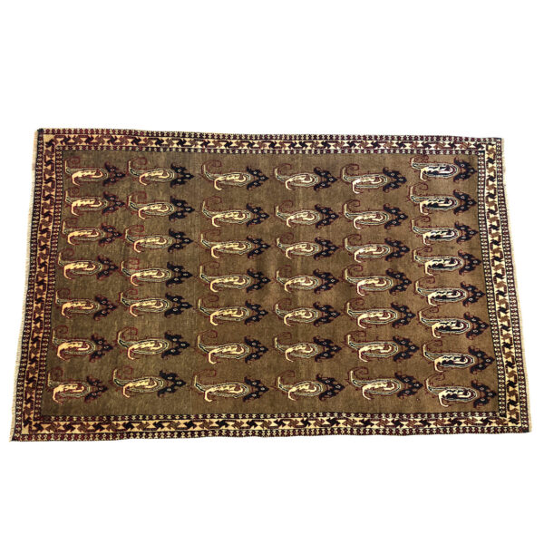 Shiraz 373217067